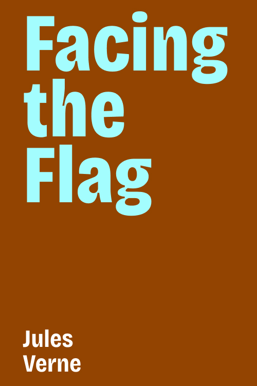 Cover of Facing the Flag